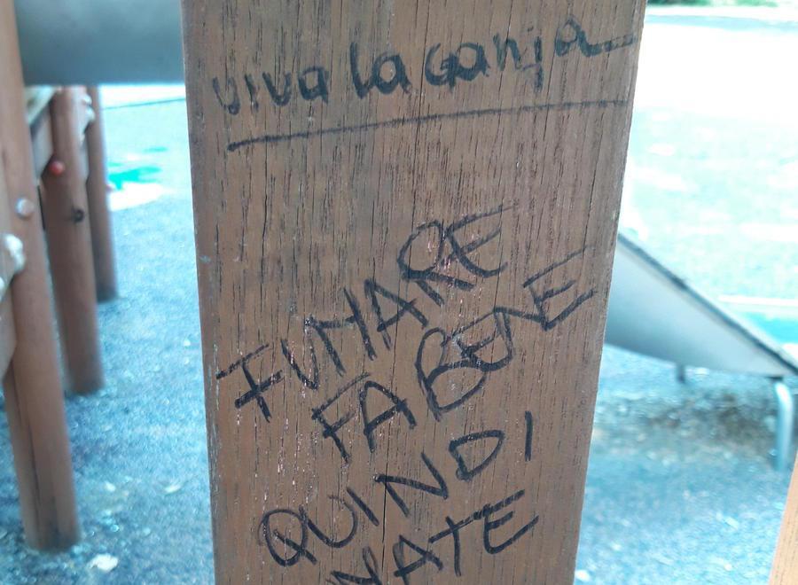 «Giardino trascurato scritte e degrado serve sorveglianza»