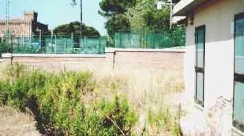 L’erbacce tra via Abbati e il recinto che divide con la proprietà delle ferrovie