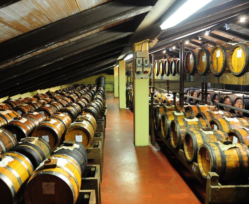 “Manicardi”: vini e Balsamico unendo tradizione e tecnologia