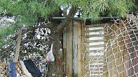 Baracche e rifiuti all’interno e all’esterno dello stabile ex Enel, dovranno essere rimosse a seguito di un’ordinanza emessa dal Comune