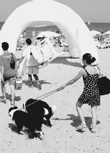 In spiaggia col cane?Ecco la mappa degli arenili attrezzati