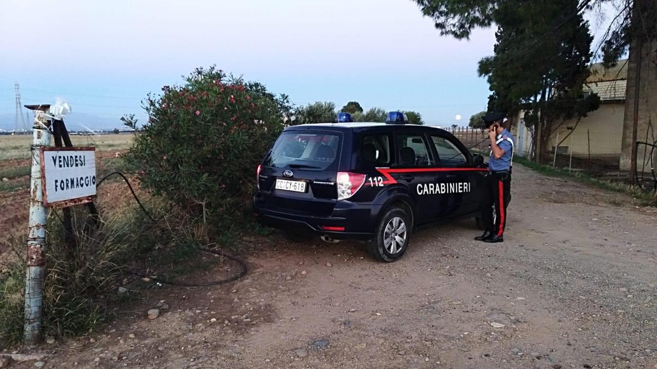 Caseificio-macello abusivo scoperto dai carabinieri nell'hinterland di Cagliari