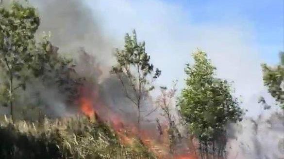 Pisa, inferno sul Monte Serra: il rogo non è domato, previste raffiche da 50 km/h - Video