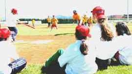 <strong>GIOVANI. </strong>Sul diamante per il torneo