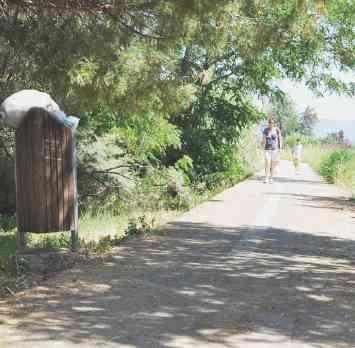 Un cestino pieno di rifiuti e l’erba alta sulla pista ciclabile