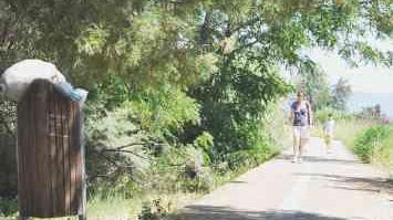 Un cestino pieno di rifiuti e l’erba alta sulla pista ciclabile