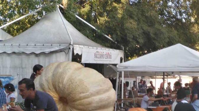 La zucca in tutte le salse in migliaia alla fiera E nel weekend si replica