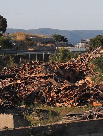 Sughero, sos degli artigiani «Aiutateci o sarà la fine» 
