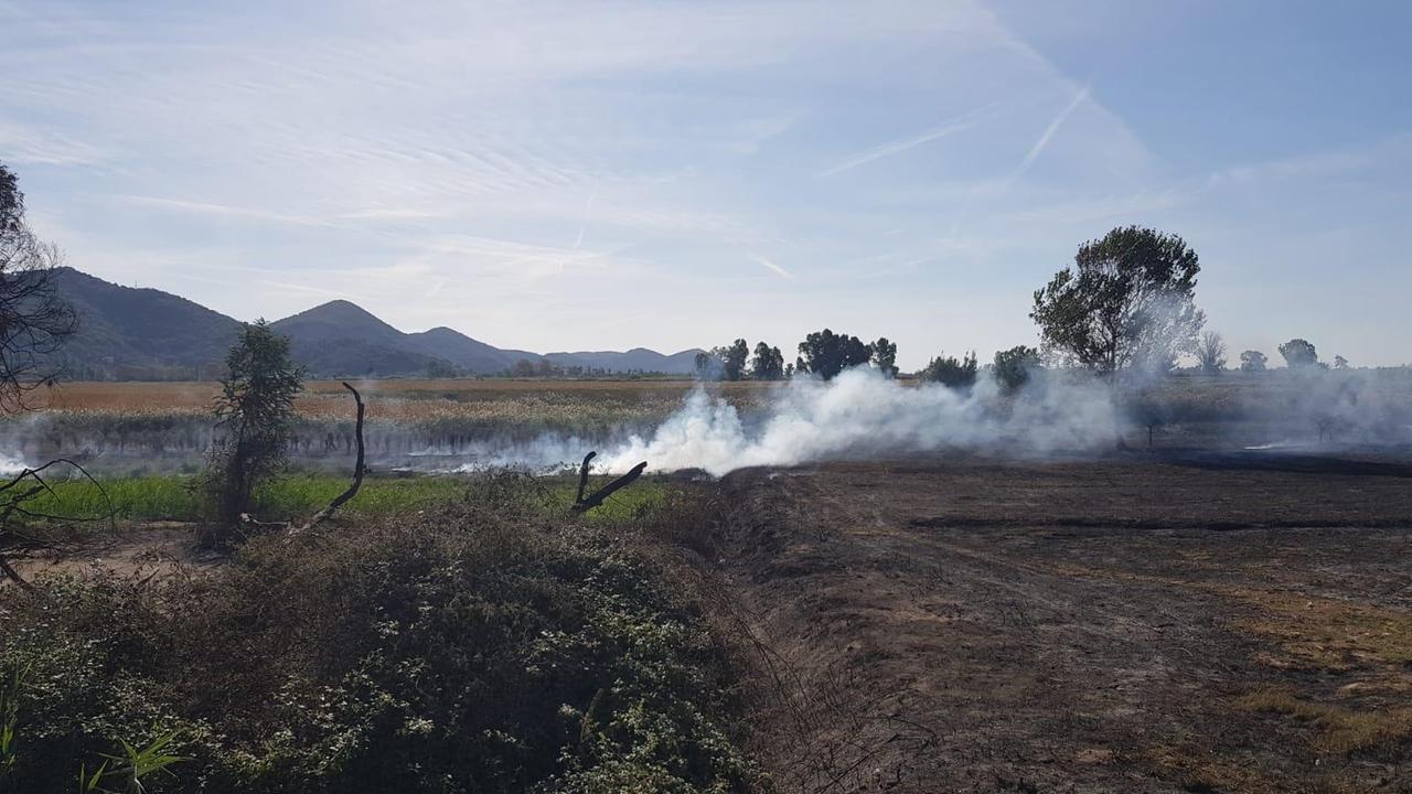 Ancora fuoco a Bozzano: l'incendio ha preso la torba