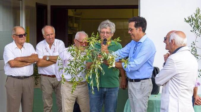 «Il frantoio darà una spinta all’economia dell’isola»
