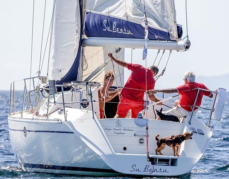 Lupi di mare a quattro zampe a Cagliari è festa con la “Bau Sail”