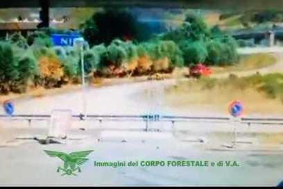 Incendiario ripreso dalle telecamere 