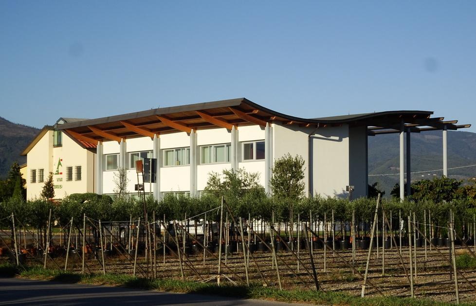 La sede del vivaio ex Bruschi (foto Gori)