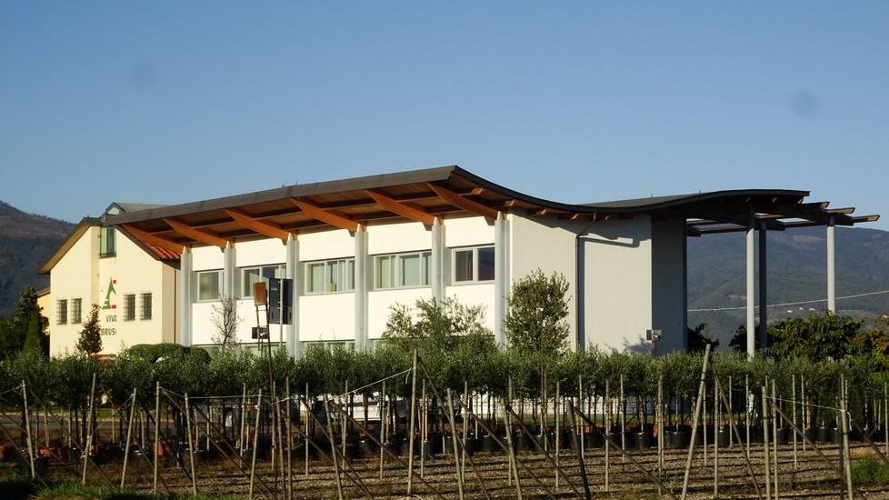 La sede del vivaio ex Bruschi (foto Gori)