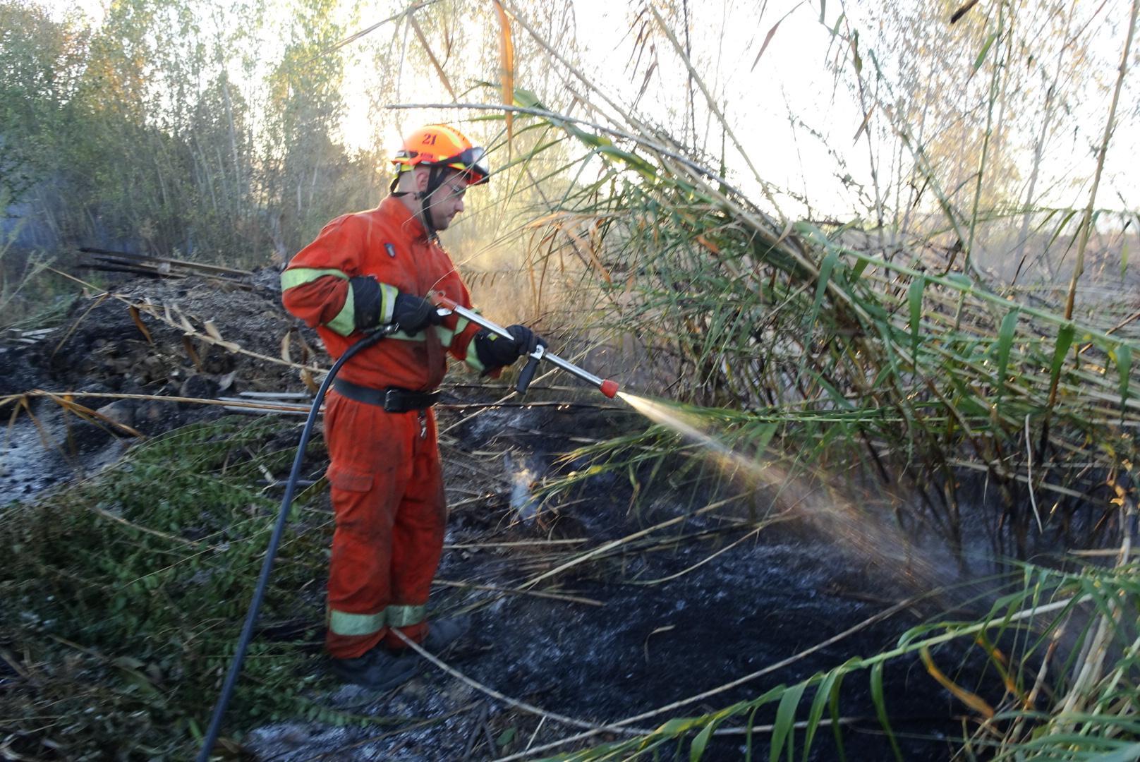Un volontario della Vab spegne il canneto in fiamme (foto Gori)