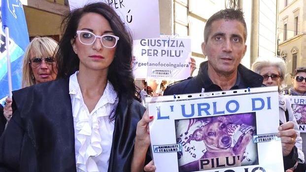 «Giustizia per Pilù» Sit in degli animalisti ma l’udienza salta