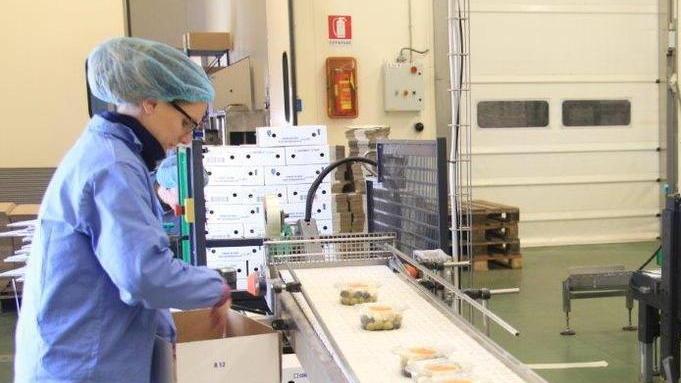 Copaim, 22 dipendenti vanno in ferie forzate