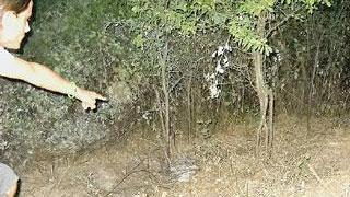 E' mistero fitto sull'identità del cadavere
