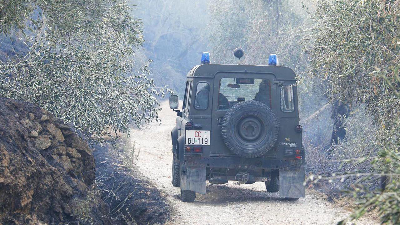 Monte Serra, intercettati i telefonini dei sospetti: si stringe la rete attorno al piromane