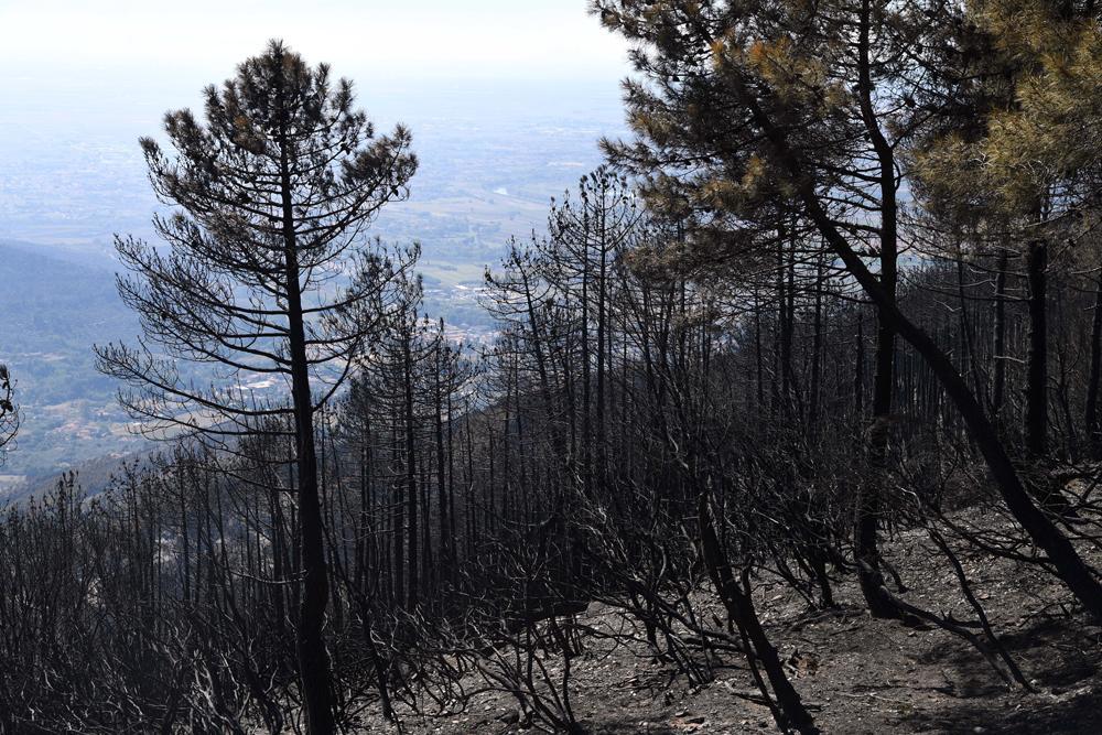 Un’associazione “Gva Fratelli Del Moro” da anni vicina al monte