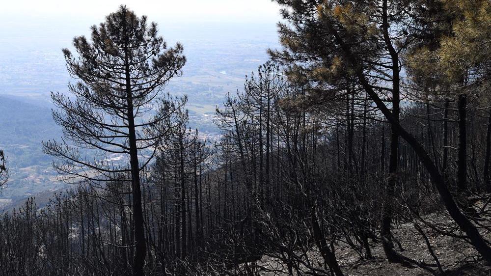 Un’associazione “Gva Fratelli Del Moro” da anni vicina al monte
