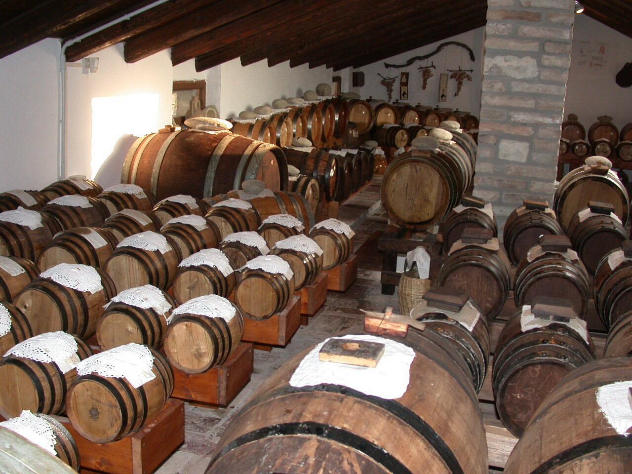 Acetaie Aperte. La domenica nell’universo del balsamico 