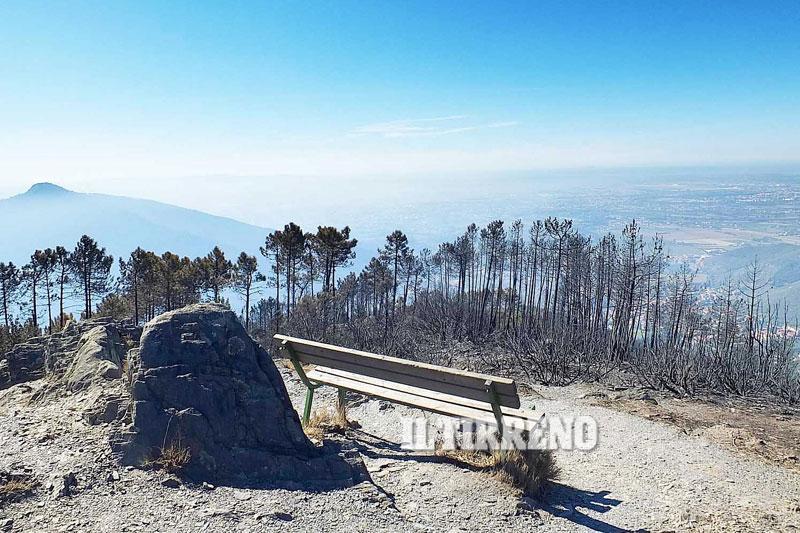 La panchina degli innamorati intatta sulla vetta del monte Serra (foto Muzzi)
