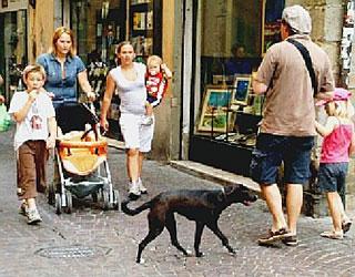 Ordinanze come grida manzoniane