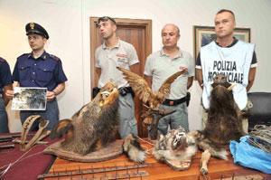 A caccia con fucili e bombe a manoarrestati due bracconieri a Pescia