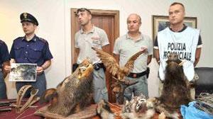 A caccia con fucili e bombe a manoarrestati due bracconieri a Pescia