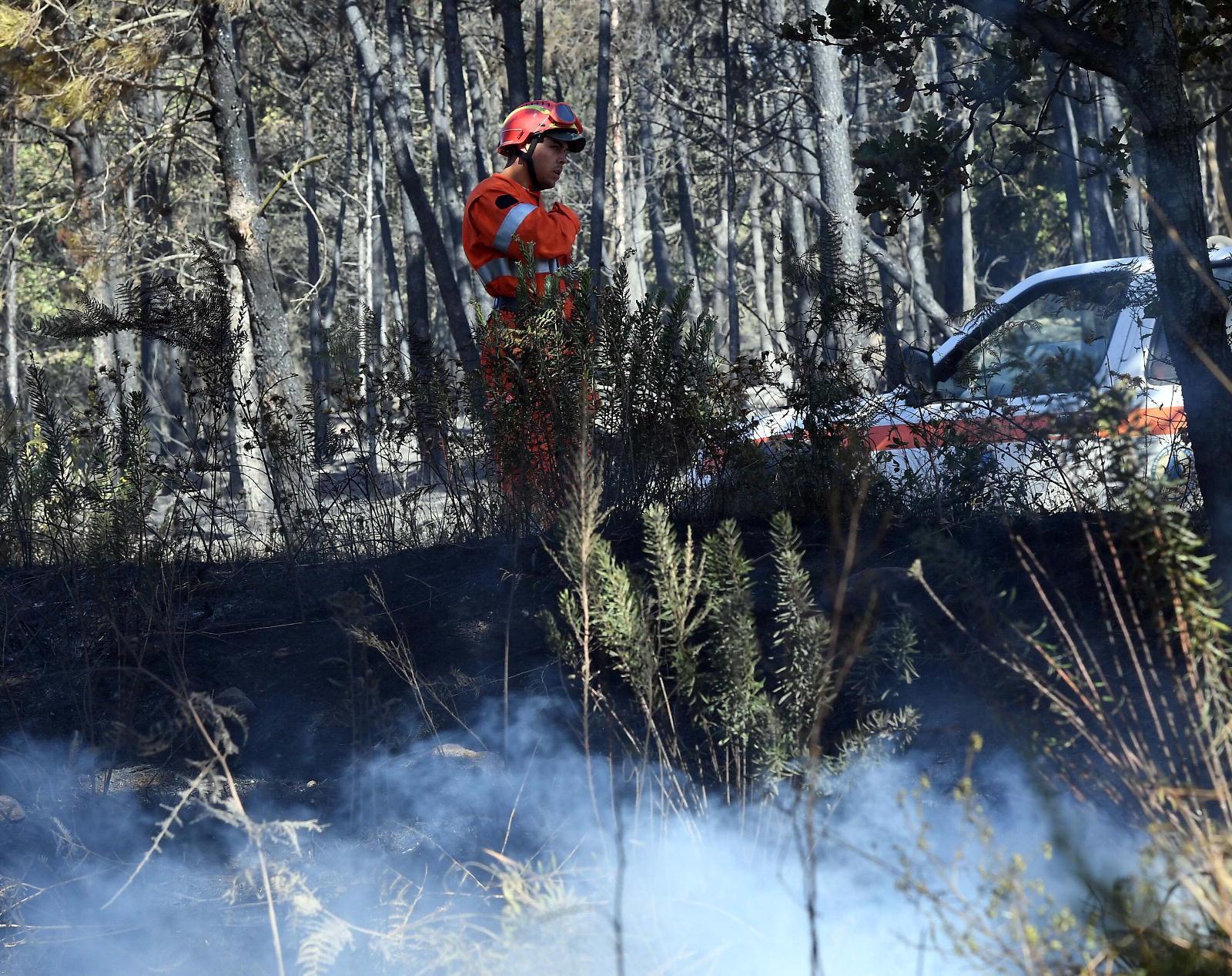 Ritorno di fuoco sul Monte Serra, vigili del fuoco in azione