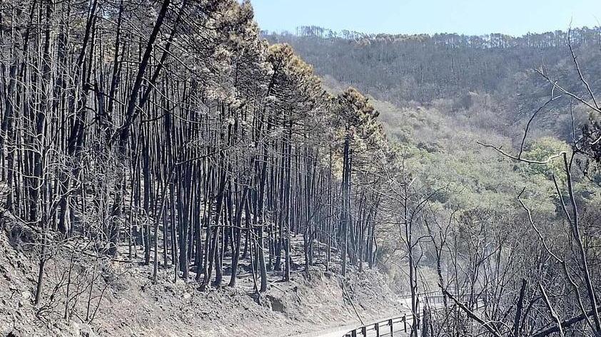 Quattro chilometri di strada ko la messa in sicurezza parte da qui