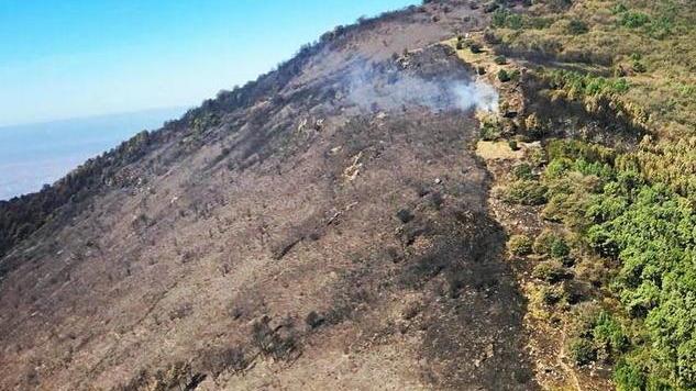 «Fiamme partite dallo stesso punto della settimana precedente»