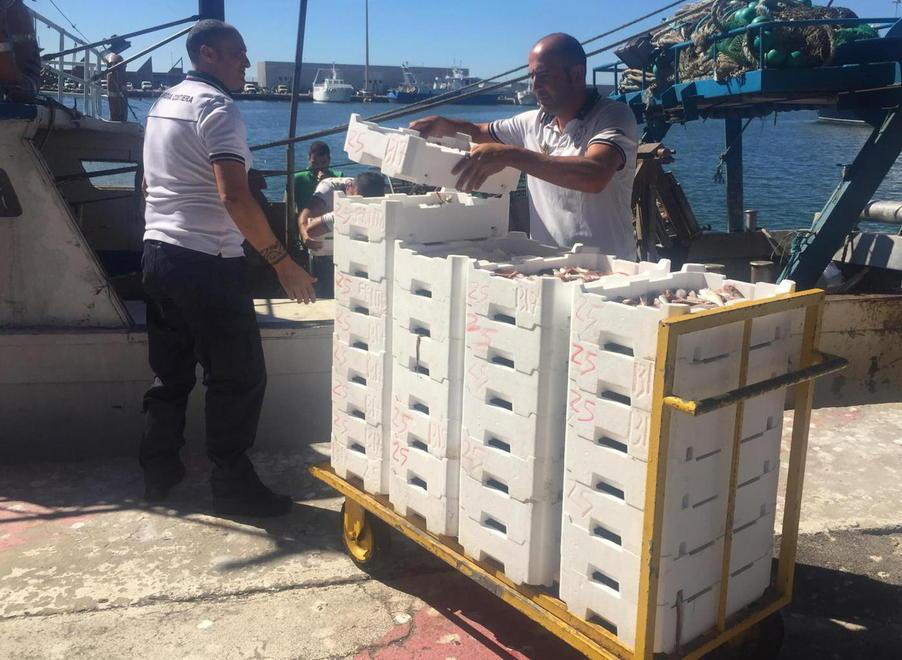 Reti troppo strette: 141 chili di pescato sequestrato in mare