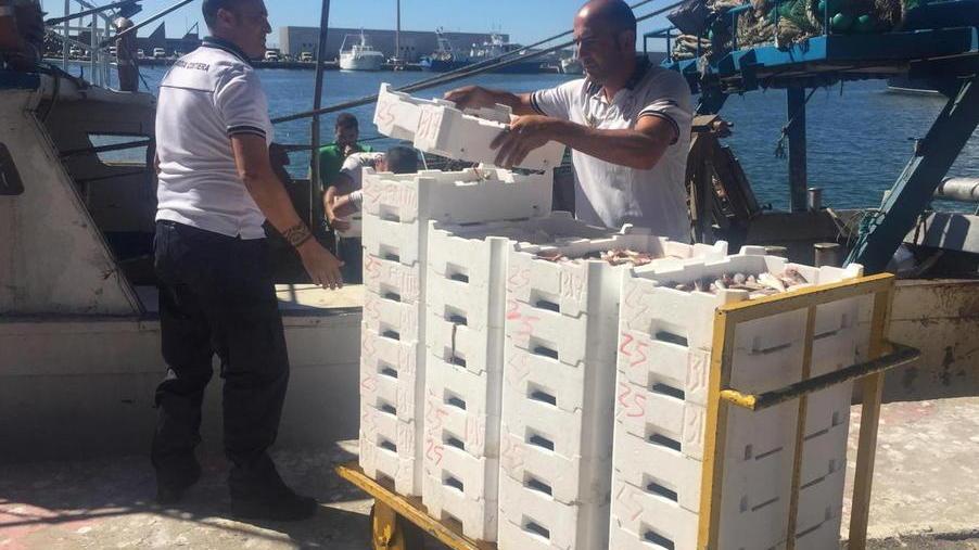 Reti troppo strette: 141 chili di pescato sequestrato in mare