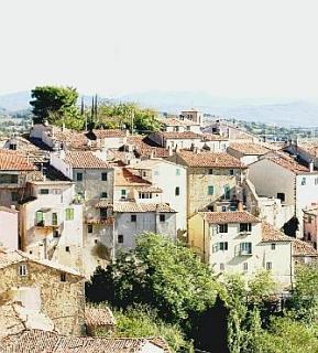 Scansano