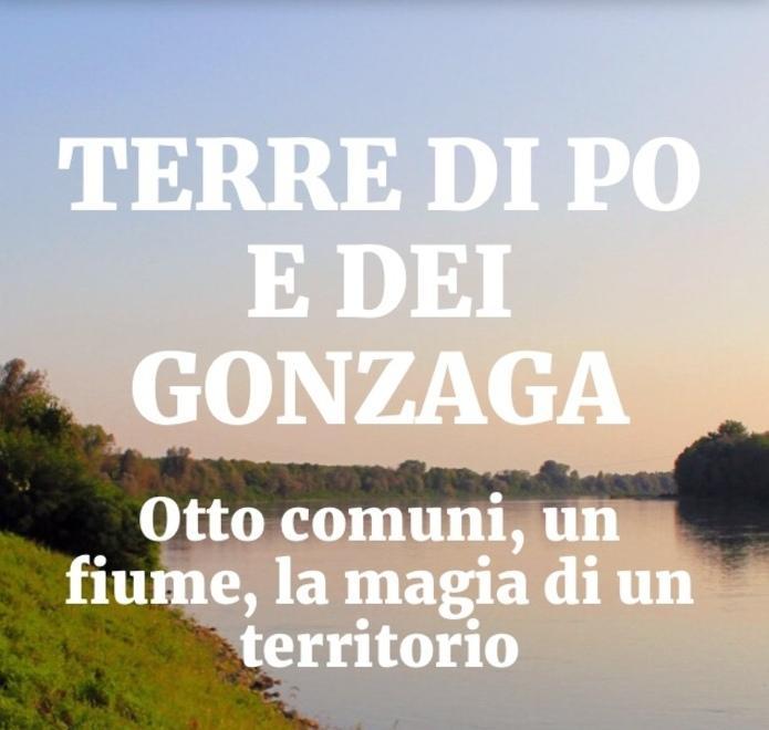 Le eccellenze della Bassa valorizzate grazie a un portale 