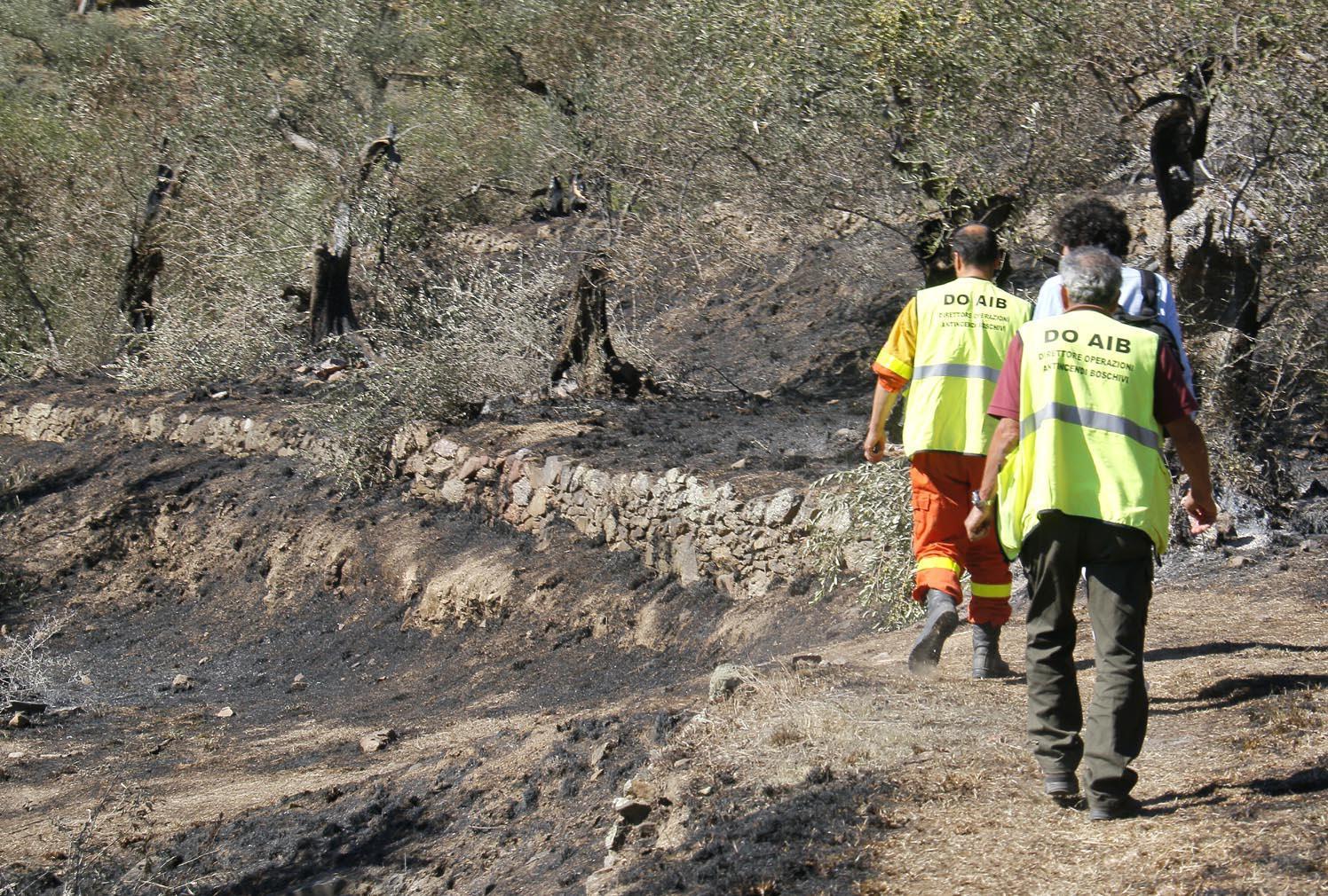 Monte Serra, al setaccio una serie di immagini che potrebbero incastrare il piromane 