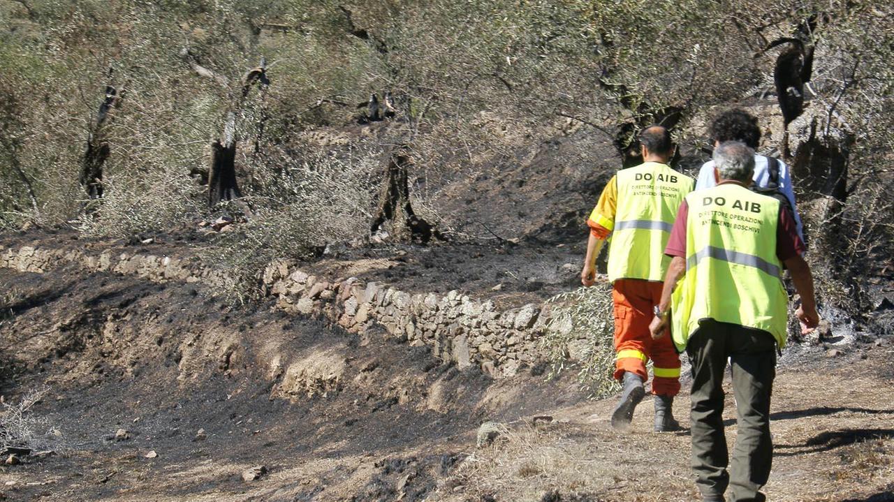 Monte Serra, al setaccio una serie di immagini che potrebbero incastrare il piromane