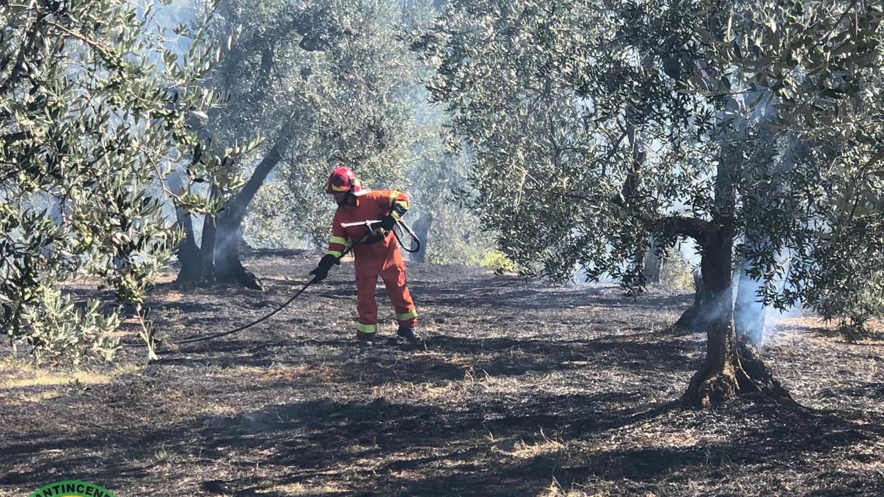 Un volontario della Vab in azione nell'incendio di venerdì 28 sopra Bacchereto