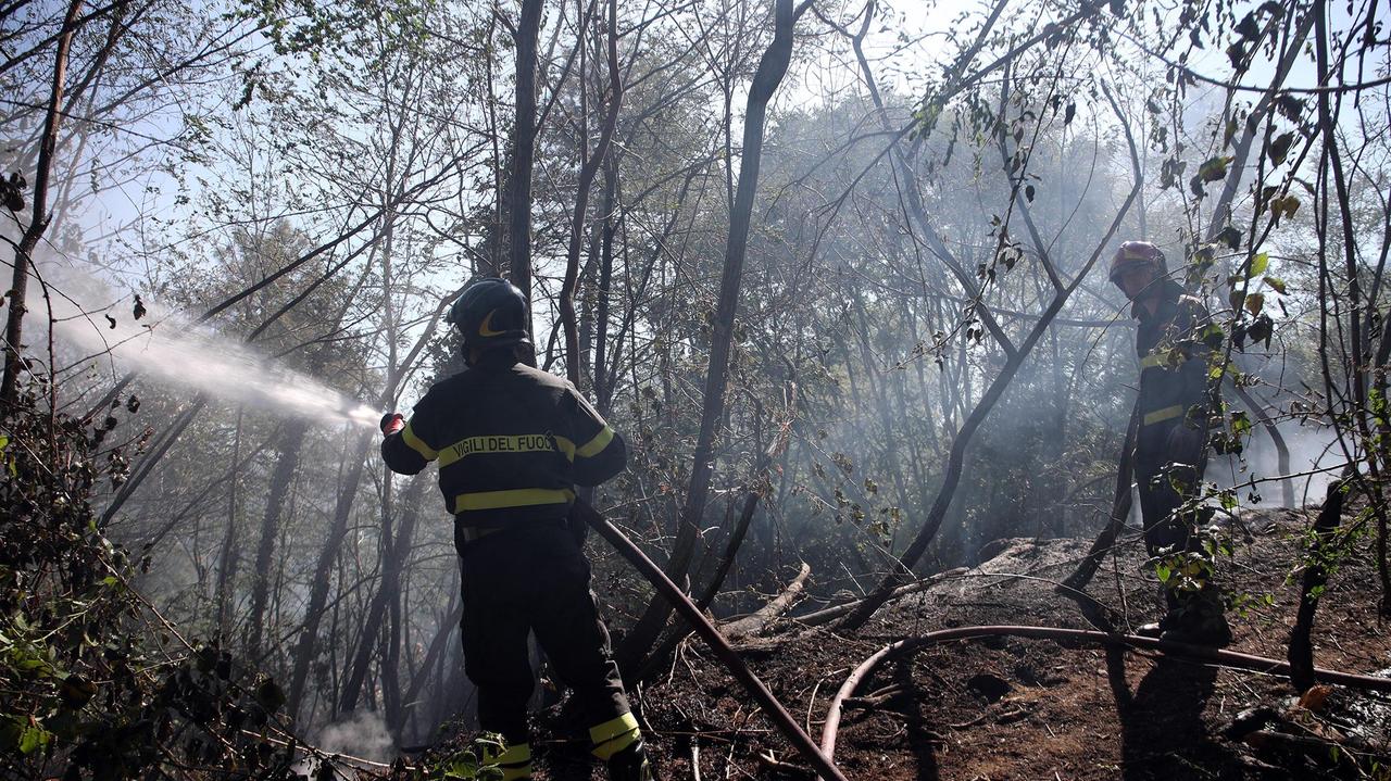 I vigili del fuoco al lavoro nei boschi di Macchino (Foto Nucci)