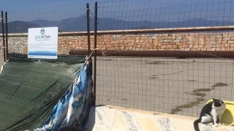 Arbatax, il killer di gatti fa strage con il veleno