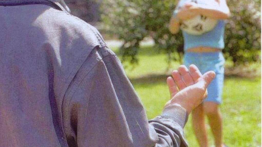 Reggio Emilia, 50enne nei guai per delle proposte hard a una 13enne. Ma lui si difende: «Solo battute»