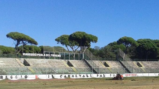 Niente lavori ai Pini: le zebre “in casa” a Castelfiorentino