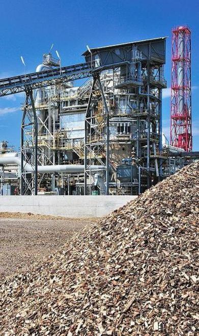 Scarlino Energia chiede alla Provincia danni per 3 milioni con un ricorso al Tar 