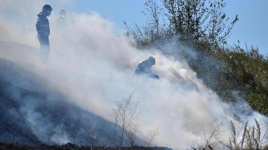 Fiamme nel Diversivo Distrutti tre ettari di sterpaglie e arbusti