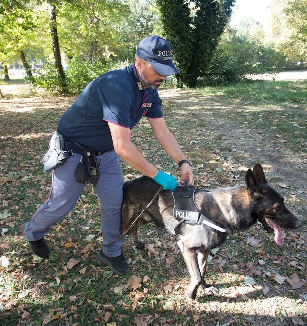 Al parco XII Aprile arrestato spacciatore con tre chili di droga 