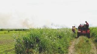 <strong>LA TORBA.</strong> Tra le possibili cause Arpat elenca l’incendio della torba