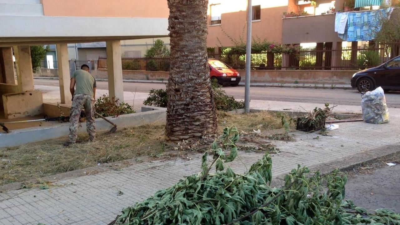 “Fai da te” per rimuovere le erbacce