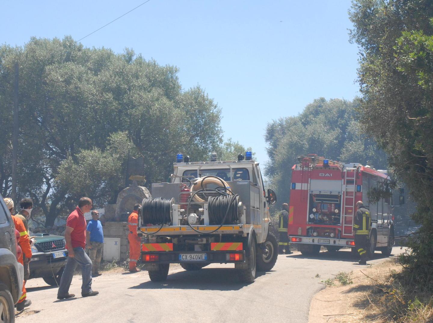 Incendio del bosco a Telti: l’Enel davanti al giudice 